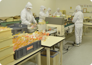 金属探知機の使用